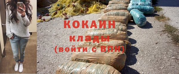прущие грибы Сосновый Бор