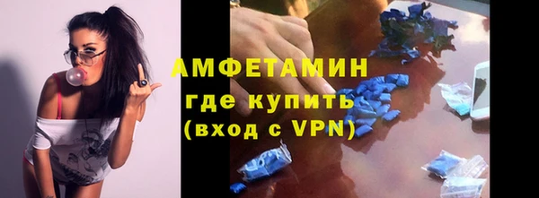крисы Белокуриха