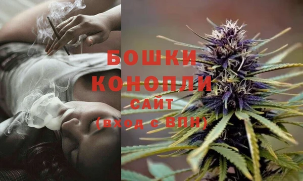 стафф Сосновка