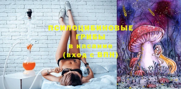 стафф Сосновка