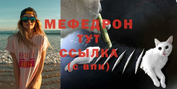 соль ск Богородск