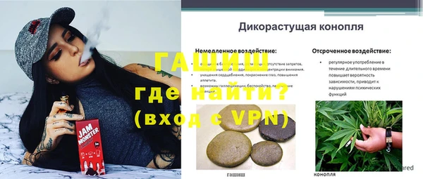 прущие грибы Сосновый Бор