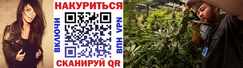 ссылка на мегу зеркало  Кодинск  Шишки марихуана тримм  как найти  